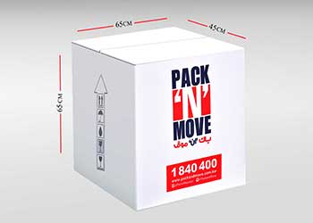Packaging Box 65